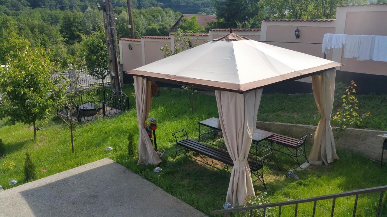 Casele Lena Bed & Breakfast Aldesti  Exterior photo