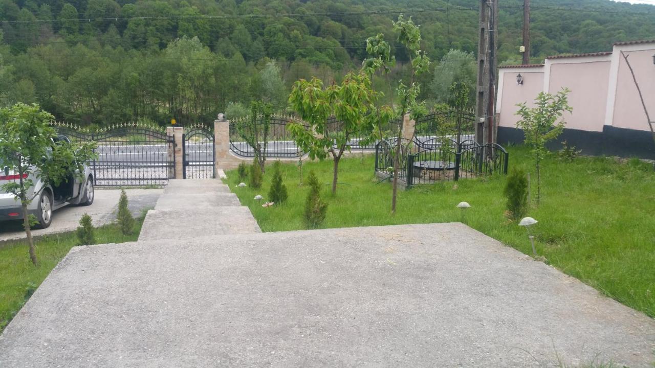 Casele Lena Bed & Breakfast Aldesti  Exterior photo