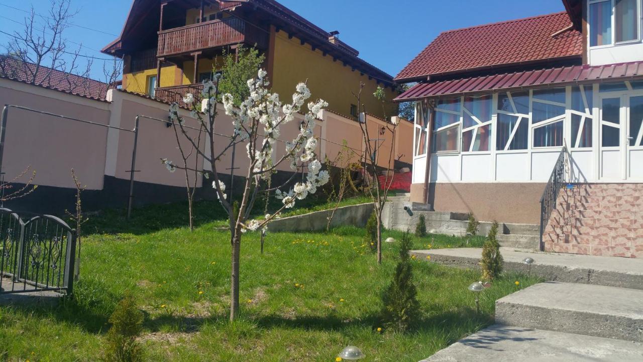 Casele Lena Bed & Breakfast Aldesti  Exterior photo
